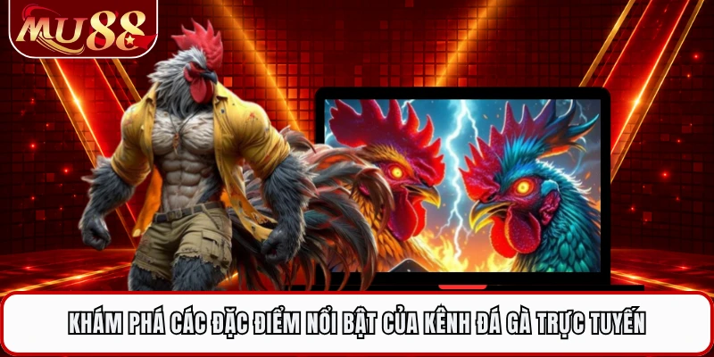 Khám phá các đặc điểm nổi bật của kênh đá gà trực tuyến