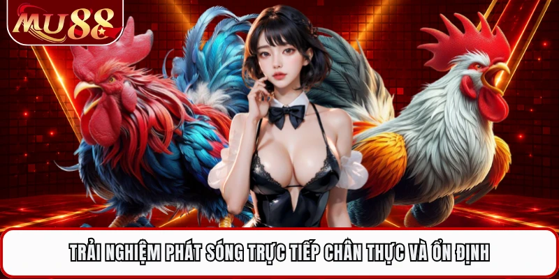 Trải nghiệm phát sóng trực tiếp chân thực và ổn định